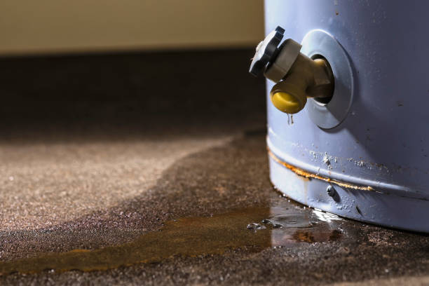 Best Carpet water damage restoration  in Woody, WA