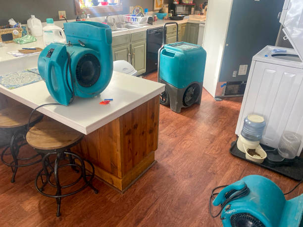 Best Professional water damage repair  in Woody, WA