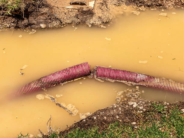 Best Sewage cleanup and water damage restoration  in Woody, WA