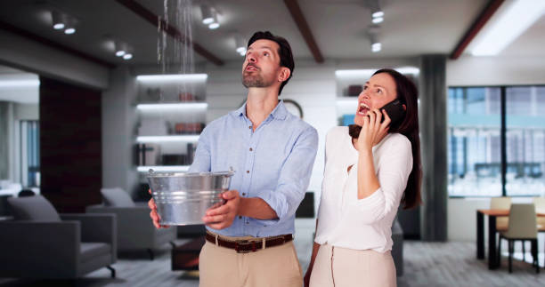 Best Flooded house restoration  in Woody, WA
