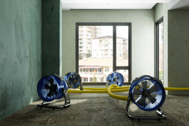 Best Water damage restoration process  in Woody, WA