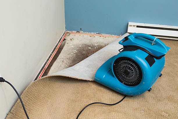 Best Local water damage restoration  in Woody, WA